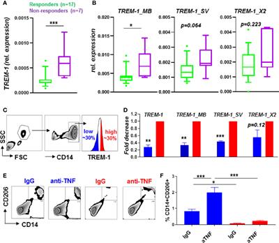 Monocyte TREM-1 Levels Associate With Anti-TNF Responsiveness in IBD Through Autophagy and Fcγ-Receptor Signaling Pathways